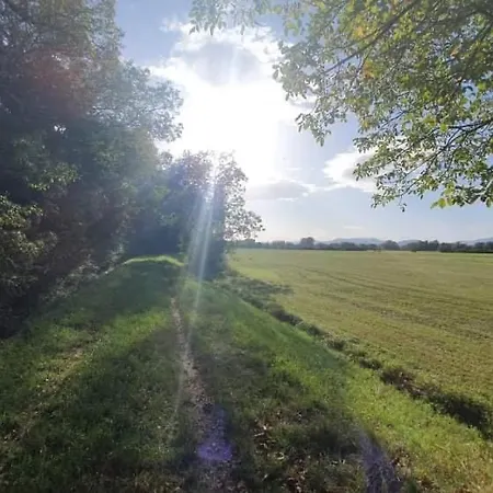 Les 2 Tilleuls, M&t * Hilsenheim
